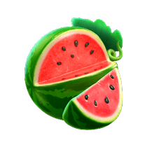 Jungle Delight watermelon symbol
