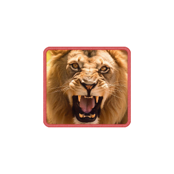 safari wilds symbol lion